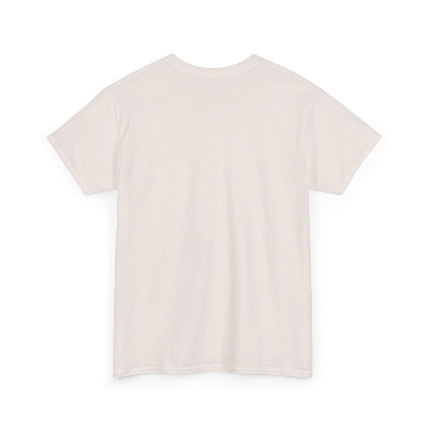 Never Give Up - Unisex Heavy Cotton Tee (Black Font)
